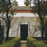 抓饭直播官网 anq2t33k